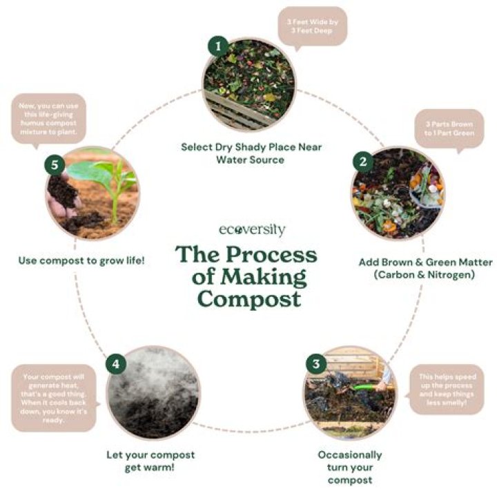 How to Compost: A Step-by-Step Guide