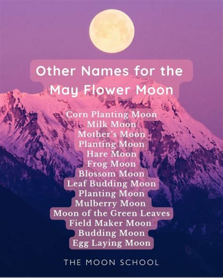 The Full Flower Moon Will Light Up the Sky Tonight—And Illuminate a "Surprise"
