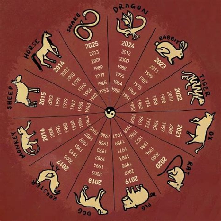 What is your shadow sign mean