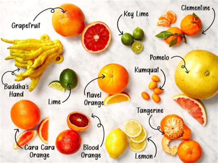 What kind of fruit is a lemon